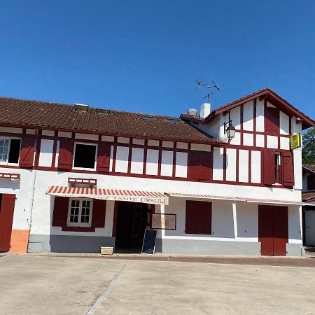 Auberge Chez Tante Ursule كامبو-لي-بان المظهر الخارجي الصورة
