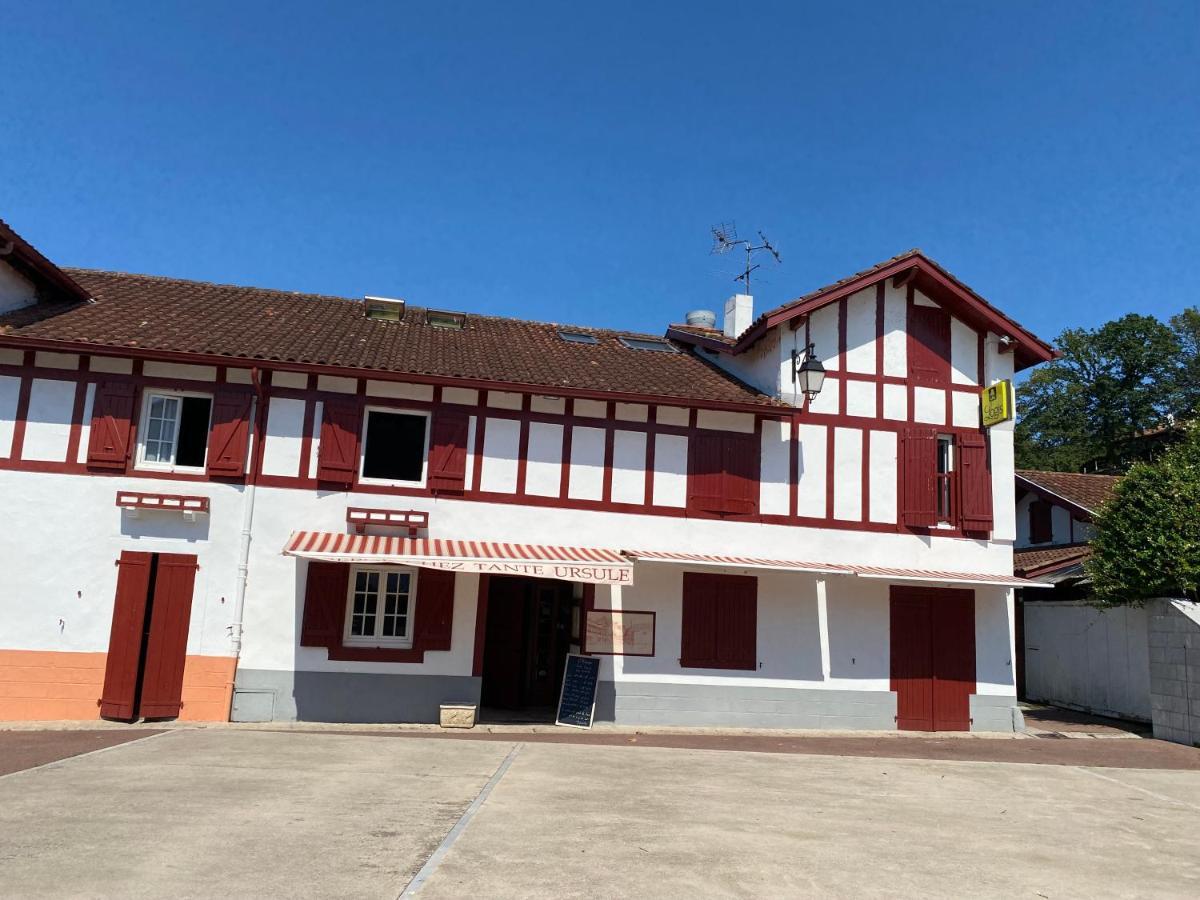 Auberge Chez Tante Ursule كامبو-لي-بان المظهر الخارجي الصورة