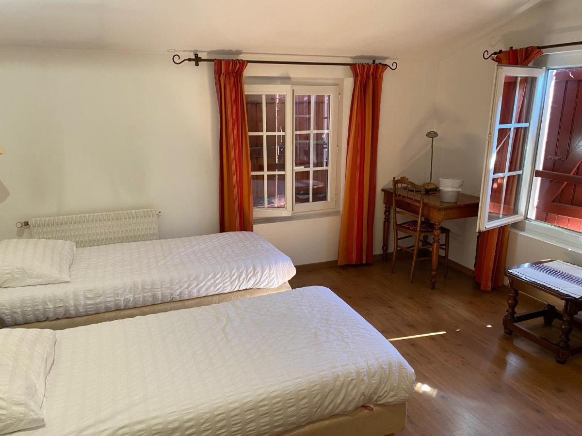 Auberge Chez Tante Ursule كامبو-لي-بان المظهر الخارجي الصورة